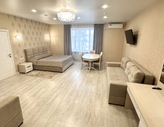 Коттедж Коттедж №1 Люкс №1 1-местный 1 этаж без балкона - Санаторий «Карагай» Большеустьикинское