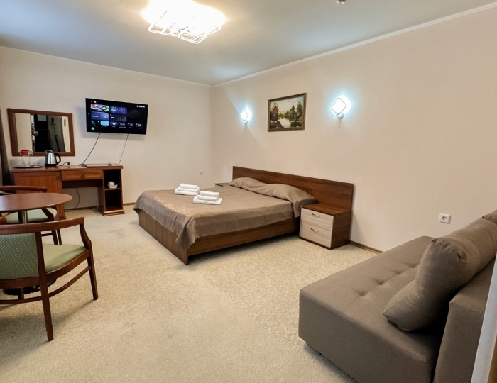 Полулюкс Корпус №2 1-местный без балкона - Санаторий «Карагай» Большеустьикинское